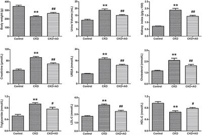 An Integrated Lipidomics and Phenotype Study Reveals Protective Effect and Biochemical Mechanism of Traditionally Used Alisma orientale Juzepzuk in Chronic Kidney Disease